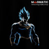 visuel reflet prince des saiyans